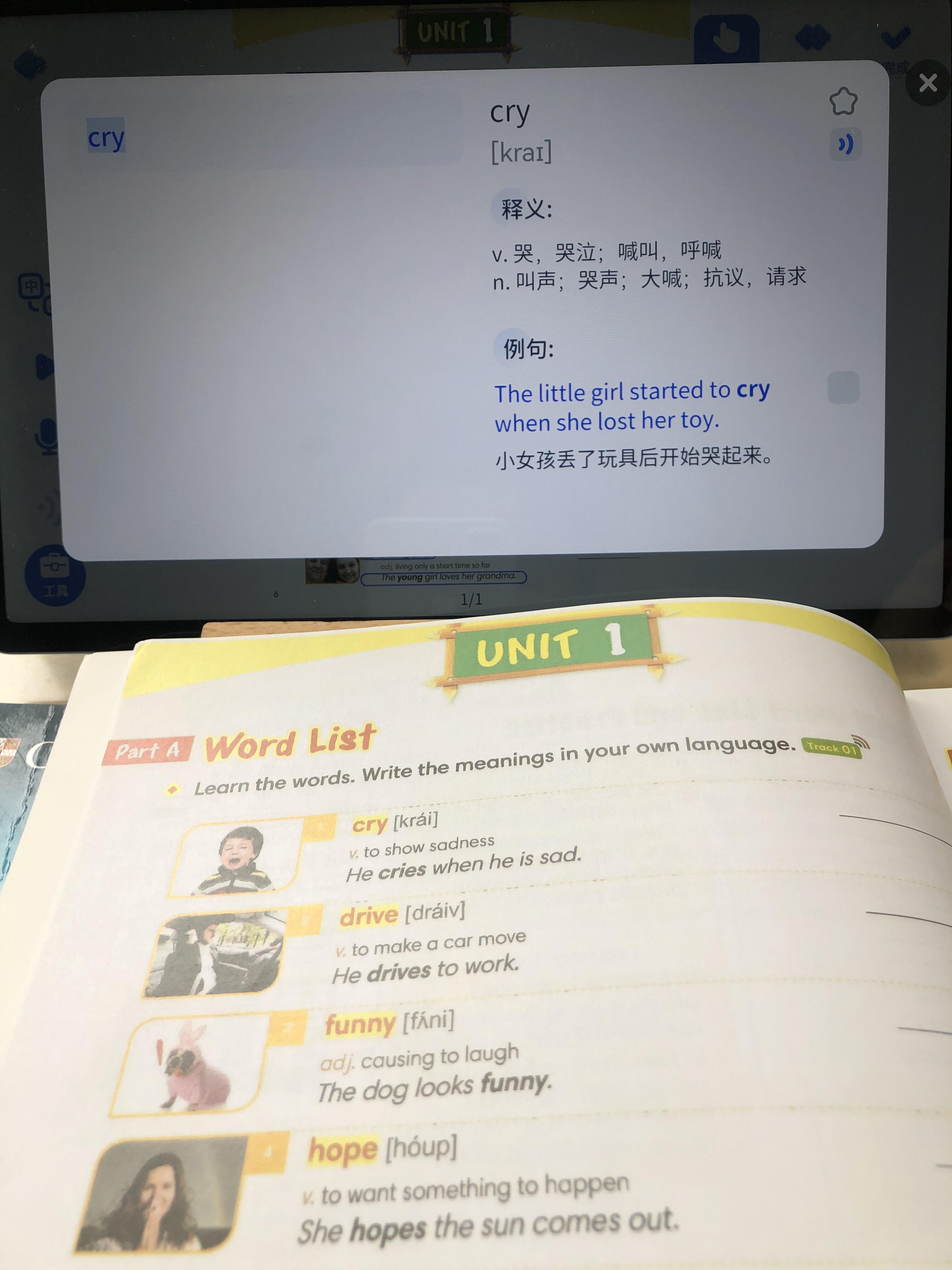 生词释义查询